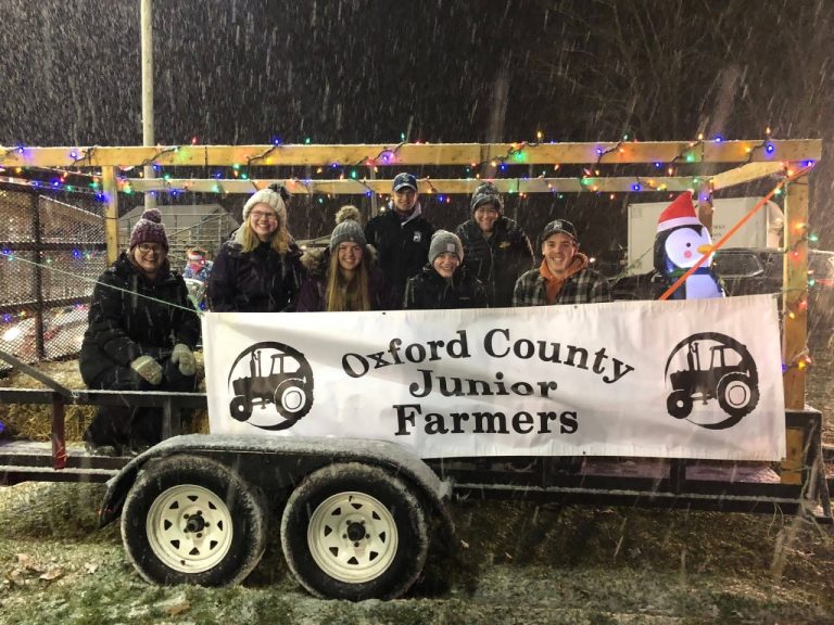 Oxfords Outstanding Fall 2021