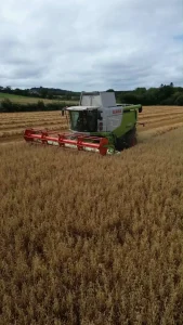 Christena Jenkins-Giffen - Ireland Exchange Part 1 - 2025