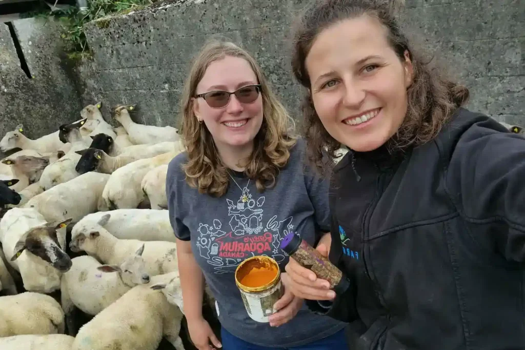 Christena Jenkins-Giffen - Ireland Exchange Part 1 - 2025