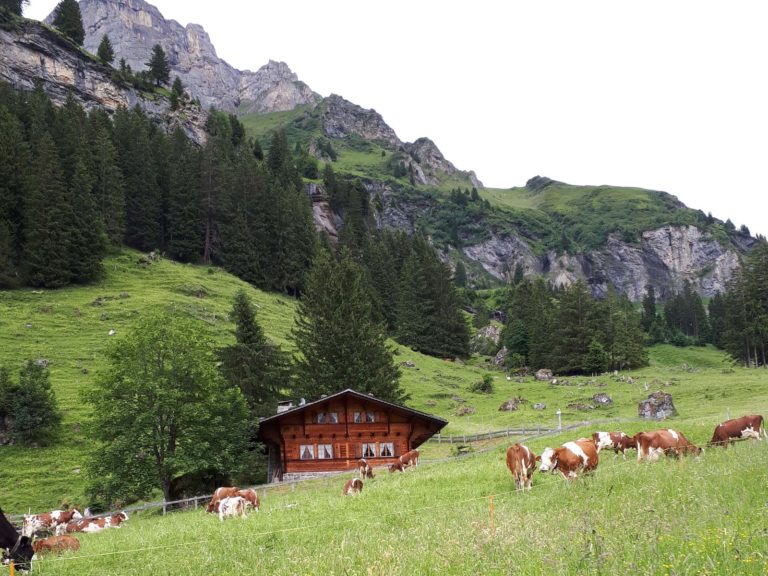 Switzerland Exchange – Emily Kyle