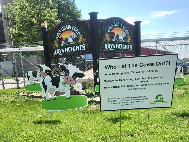 Middlesex Makes a Moove with Mental Health