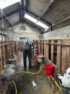 Cailen Bromley Northern Ireland Part 2 - 2025