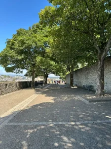 Cailen Bromley Northern Ireland Part 2 - 2025