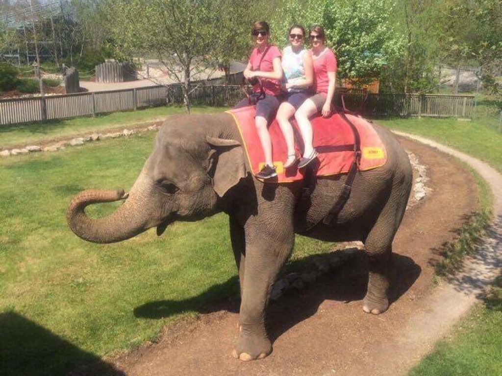 delegates-on-elephants