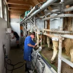 Hansford Mahon - Austria Exchange Part 2 - 2025