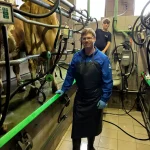 Hansford Mahon - Austria Exchange Part 3 - 2025