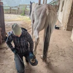 Hansford Mahon - Austria Exchange Part 2 - 2025