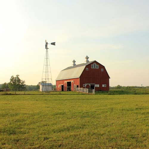 Western farm tour